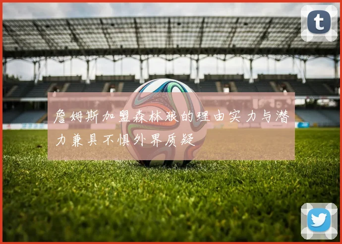 詹姆斯加盟森林狼的理由实力与潜力兼具不惧外界质疑